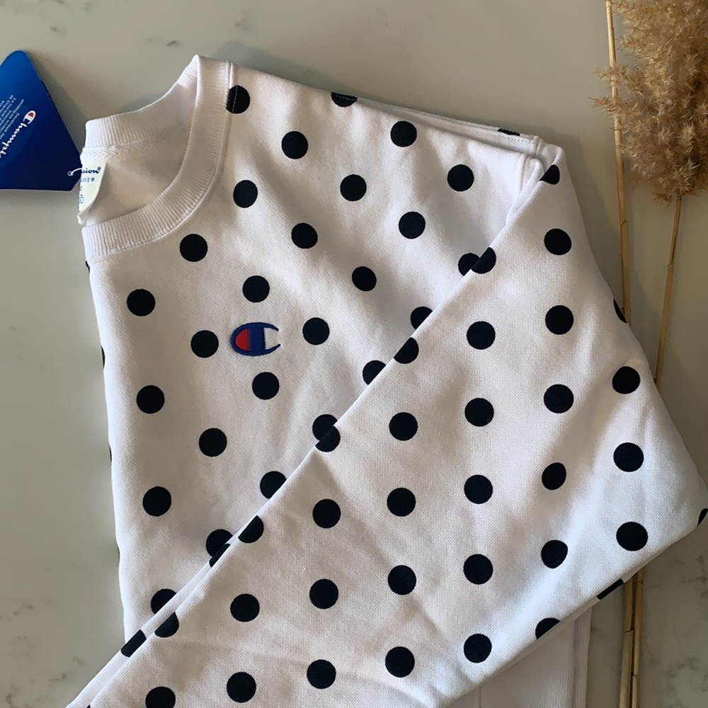 Champion sweater